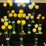 Class 4 Three blooms  from Div 1