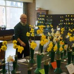 Daffodil Judge Steve Ryan