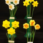 3 vases of 3 1 Alan Robinson (L) 2 Christine Yeardley (R)